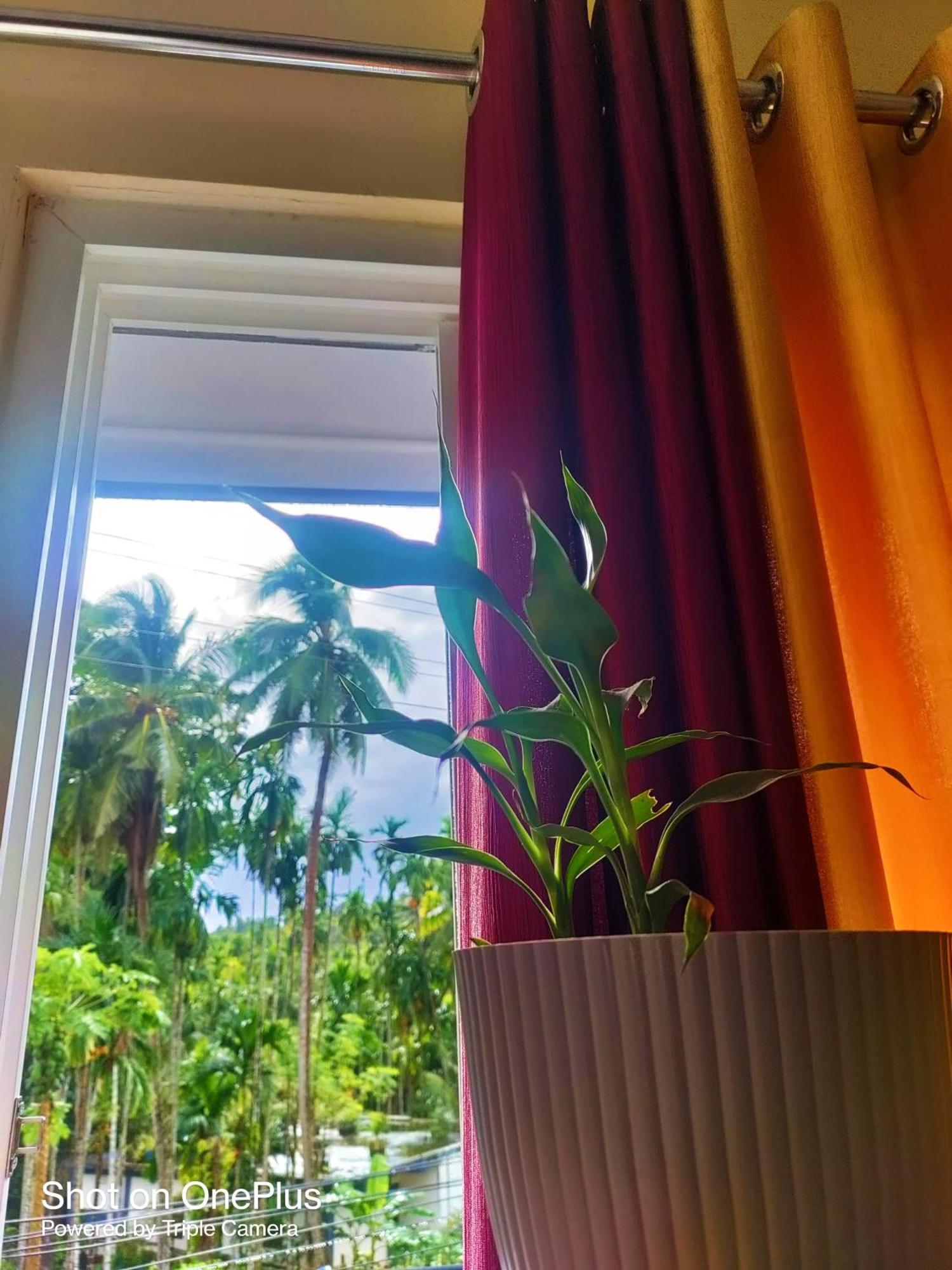 Hilton Garden Homestay Port Blair Bagian luar foto